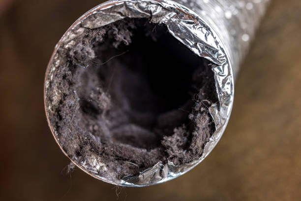 Best Home Air Vent Cleaning  in East Basin, UT